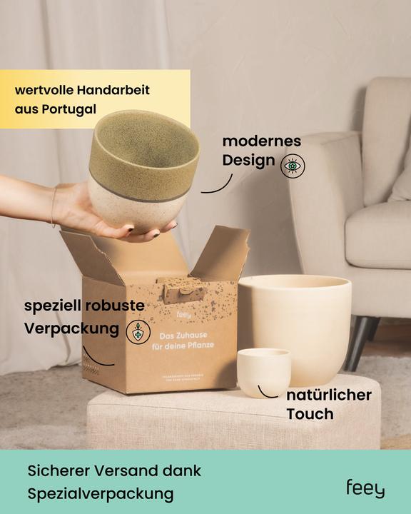 Image du produit feey Variado (18.20 cm)