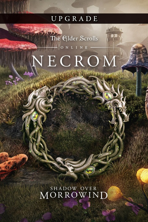 Produktbild Microsoft Xbox The Elder Scrolls Online Upgrade Necrom Download Code (Xbox Series X, Xbox Series S)