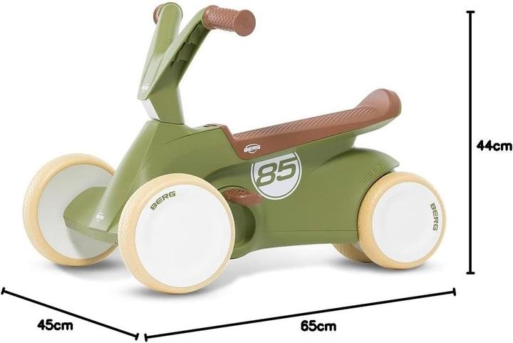 Actual product image BERG GO²