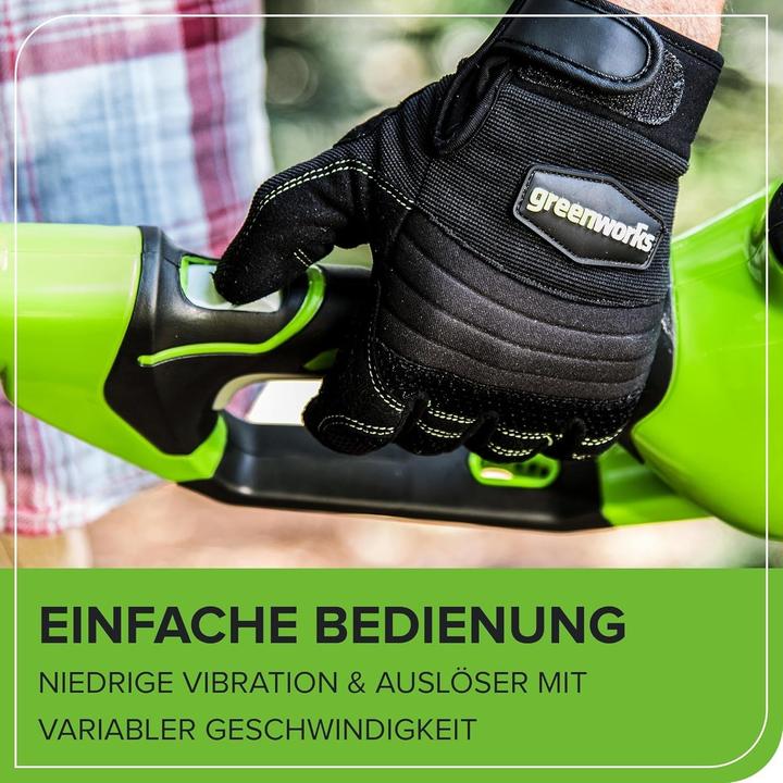 Produktbild Greenworks Gale (Akkubetrieb)