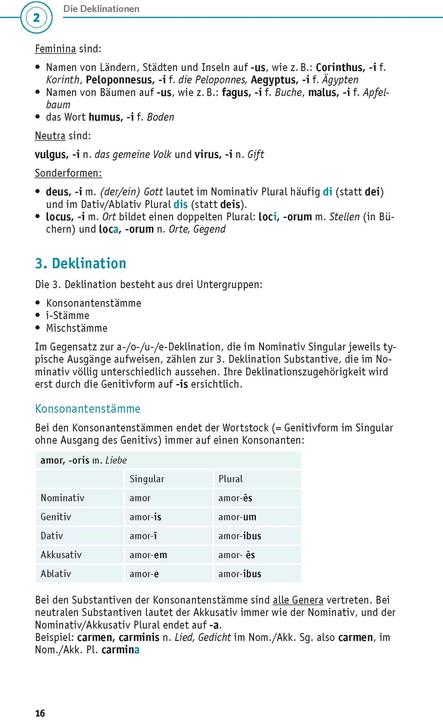 Actual product image Grammatik kurz & bündig Latein (German, Latin, 2023)