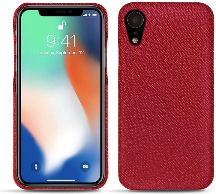 Rouge passion ( Pantone #a6192e )