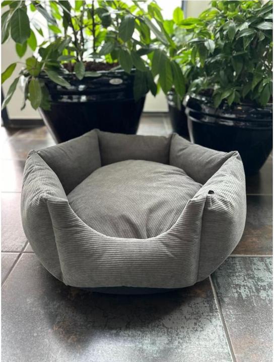 Actual product image Nordic Paws - Dogbed ComfyHex - Anthracite - Medium 65 x 65 x 25,5 cm (Dog)