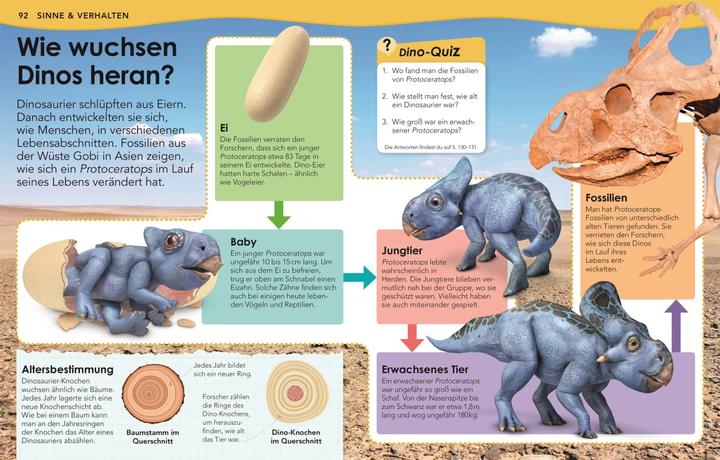 Produktbild Weshalb? Deshalb! Dinos (Deutsch, Nicholas St Fleur, 2020)