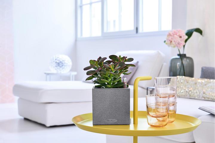 Immagine prodotto Lechuza Canto Stone 14 (14 cm)