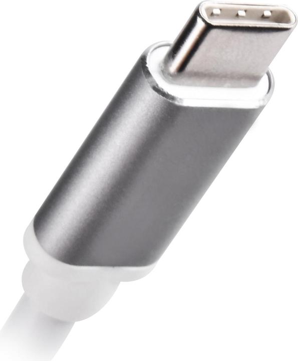 Produktbild Silverstone Technology SilvStone SST-EP16C silber/weiss Zum (HDMI, USB 3.1, VGA, 10 cm)
