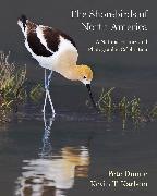 Immagine prodotto Gli uccelli costieri del Nord America (Inglese, Kevin Karlson, Peter Matthiessen)