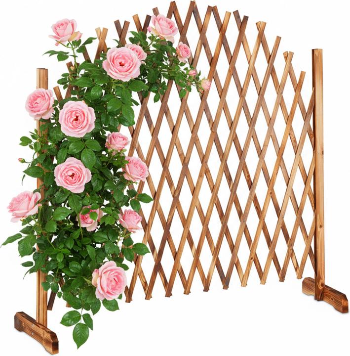 Image du produit Relaxdays Treillis extensible (30 cm, 200 cm)