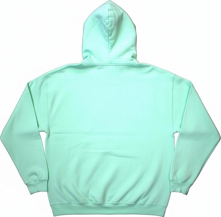 Produktbild Grateful Dead Old Faithful Kapuzenpullover (M)