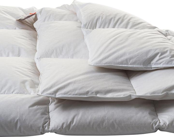 Actual product image Duvetsuisse Medium Goose Classic (880 g, 240 x 210 cm)