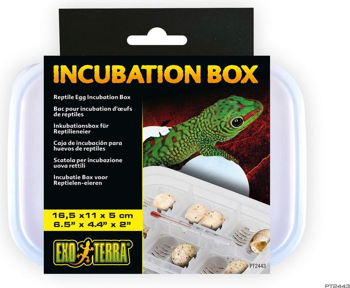 Exo Terra Inkubations-Box