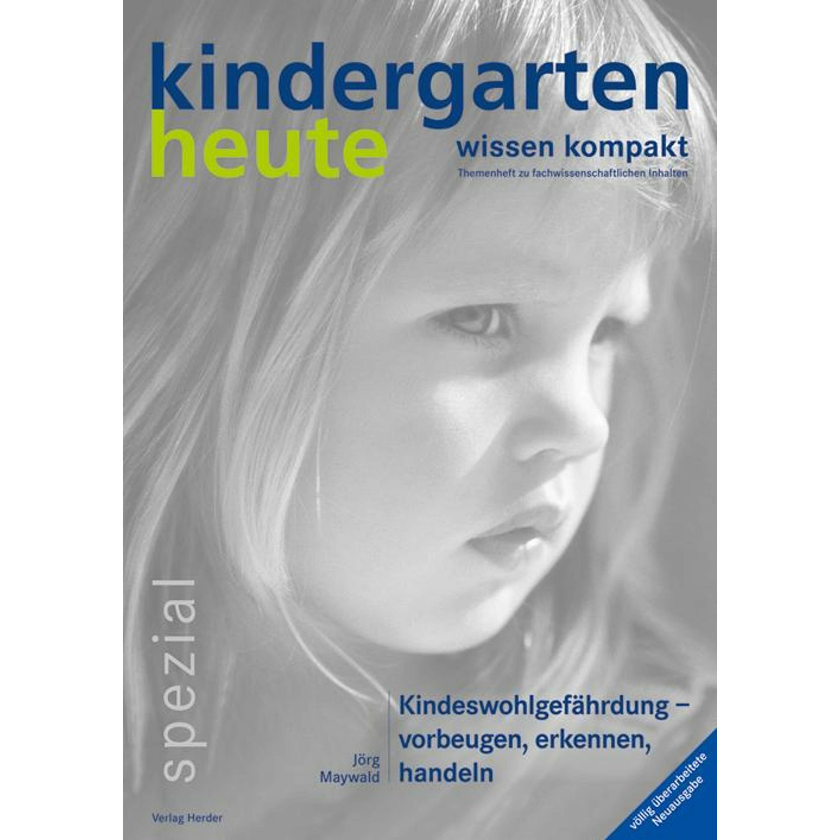 Kindeswohlgefährdung - vorbeugen, erkennen, handeln, Fachbücher von Jörg Maywald