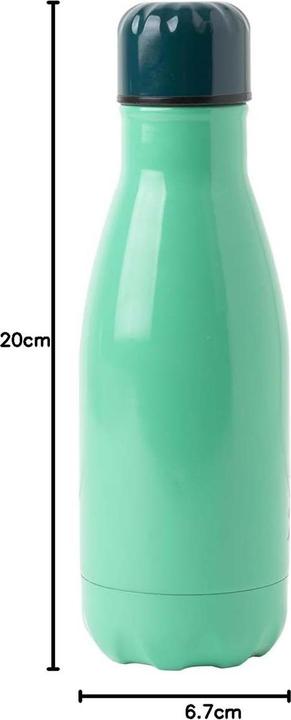 Actual product image BT21 Grupo Erik Official Merchandise Metal Hot & Cold Bottle 260ml - 9 Oz (0.26 l)