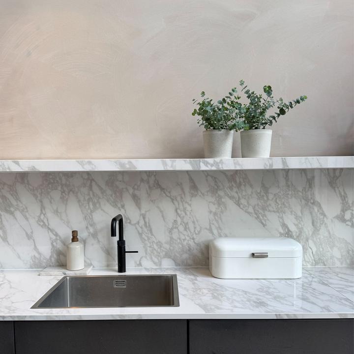 Actual product image Plant in a Box Eucalyptus Pulverulenta - Set of 2 Silver-leaved Eucalyptus (25 cm)