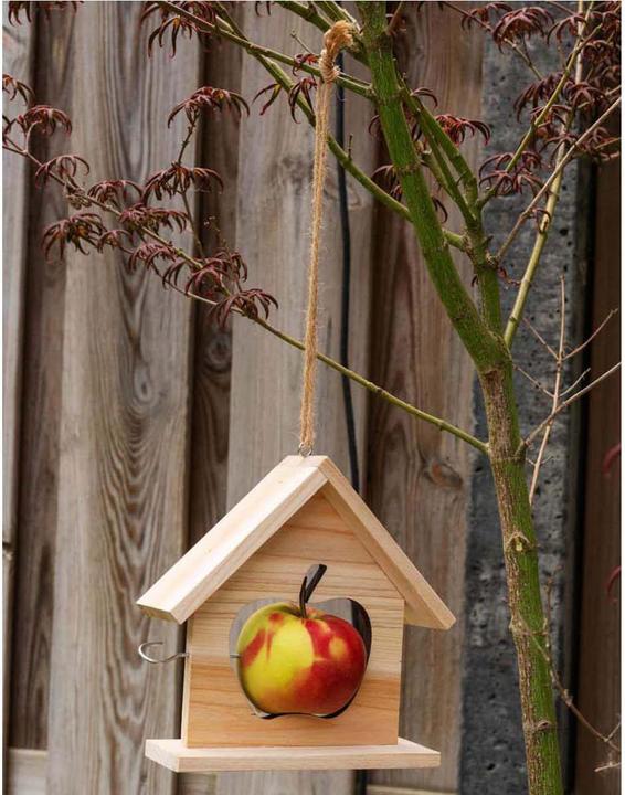 Immagine prodotto Lifetime Portamela FSC 100%