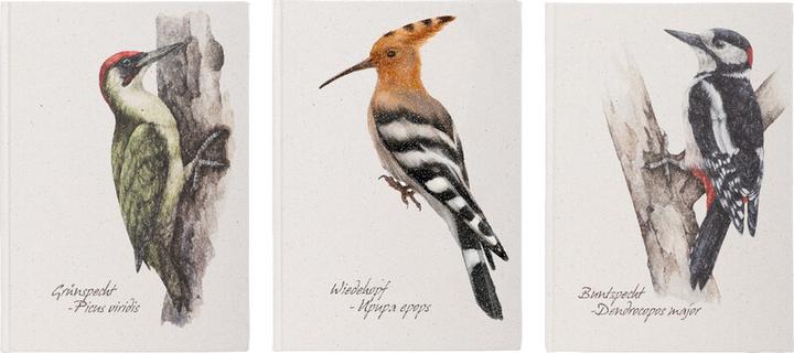 Pagna Notizbuch A5 Grünspecht 128S (A5)