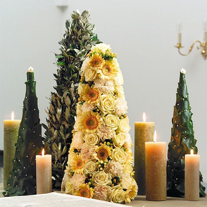 Actual product image Oasis IDEAL cone