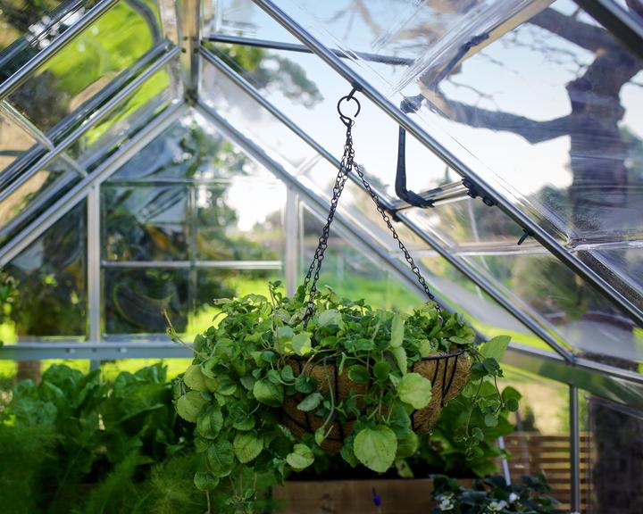 Image du produit Palram Cintre pour plantes