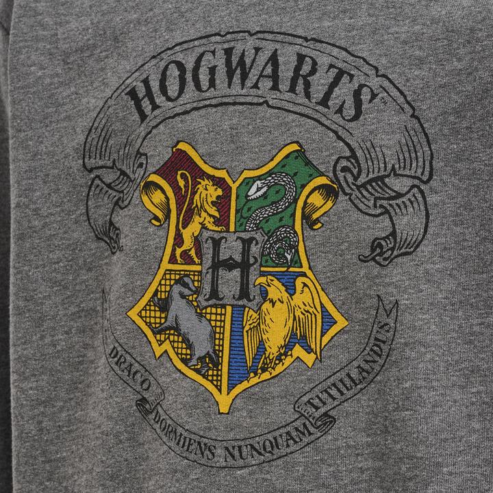 Produktbild hummel Hmlharry Potter Spring Tracksuit (104)