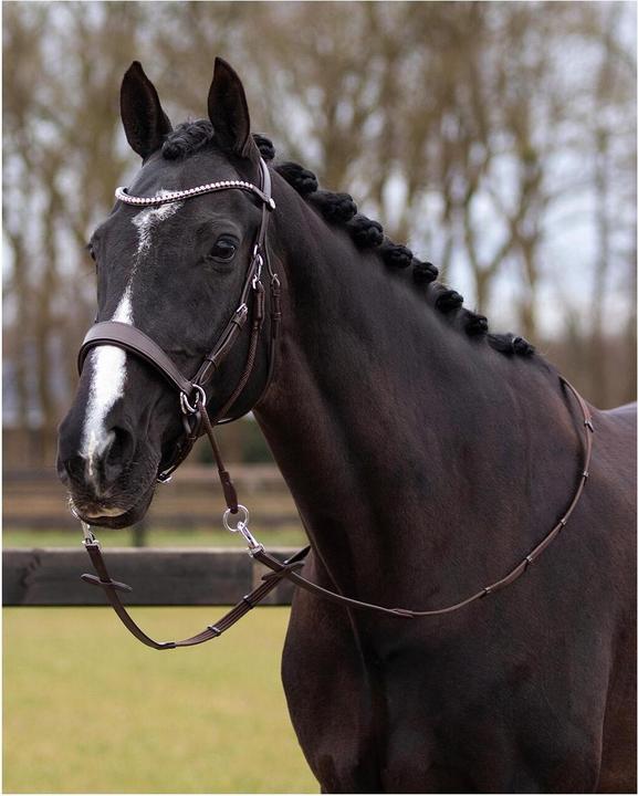 Produktbild Qhp Gebissloses Zaumzeug Sunna