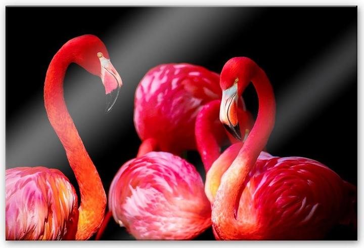 Image du produit Trenddeko Flamant rose (100 x 70 cm)