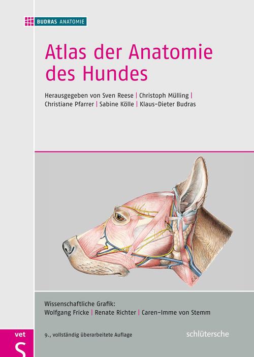 Produktbild Atlas der Anatomie des Hundes (Deutsch, BUDRASANATOMIE, 2012)