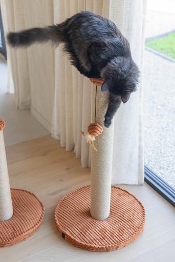 Image du produit Designed by Lotte Arbre à chat (70 cm, Terre cuite, Marron)