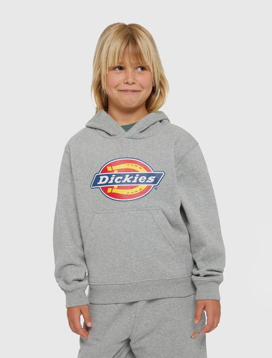 Immagine prodotto Dickies Youth Logo Hoodie (M)