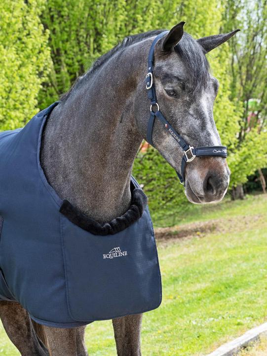 Produktbild Equiline Brustschutz