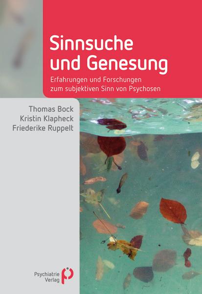 Produktbild Sinnsuche und Genesung (Deutsch, Friederike Ruppelt, Kristin Klapheck, Thomas Bock, 2014)