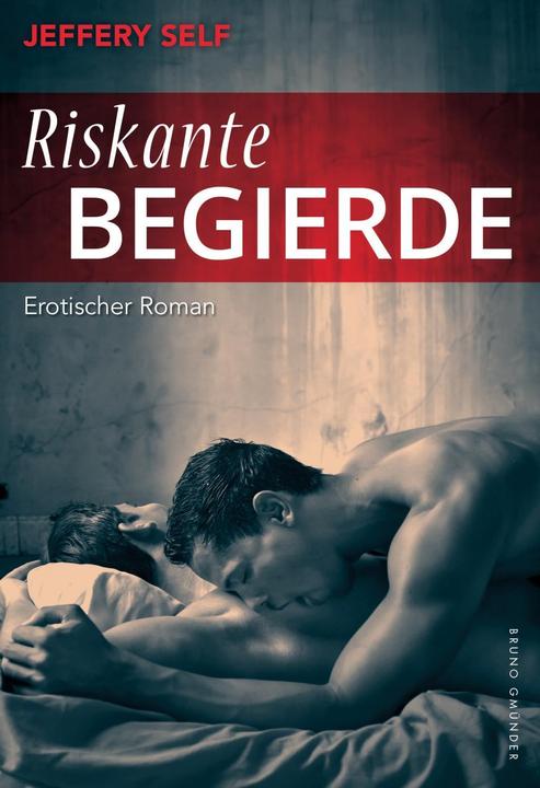 Produktbild Riskante Begierde (Deutsch, Jeffery Self, 2015)