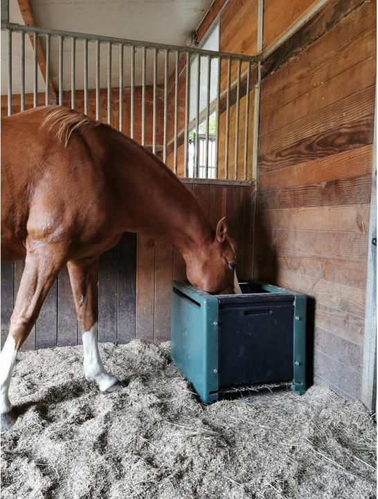 Produktbild Kerbl Futterraufe HayBox