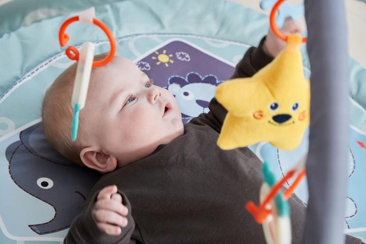 Actual product image Scandinavian Baby Products Zoo Activity Gym