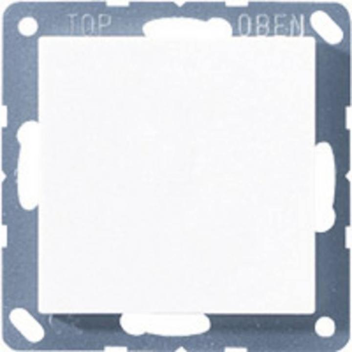 Actual product image JUNG Blind cover with support ring