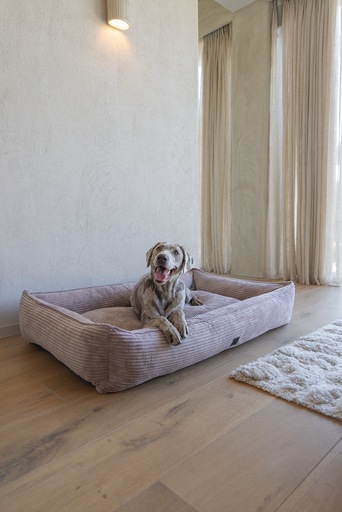 Immagine prodotto Designed by Lotte Liegebett Ribbed (Cane)