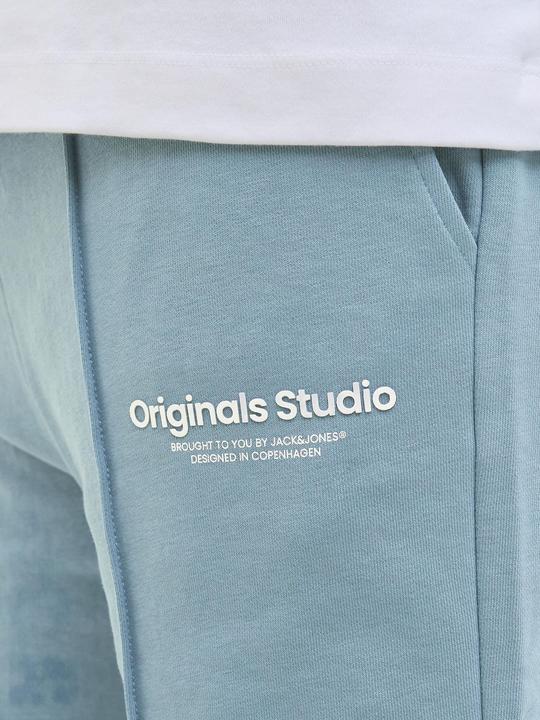 Actual product image Jack & Jones Jpstkane Vesterbro Sweat Shorts Lng Sn (M)