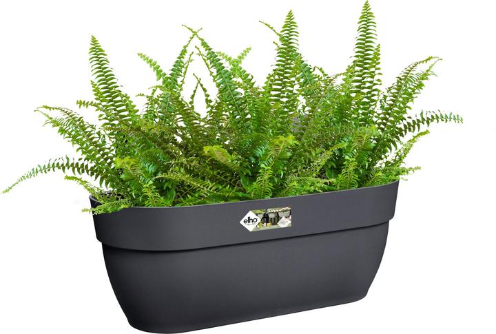 Produktbild Elho Vibia Campana Easy (46 x 46 x 27 cm)