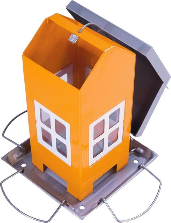 Actual product image Nobby Alis