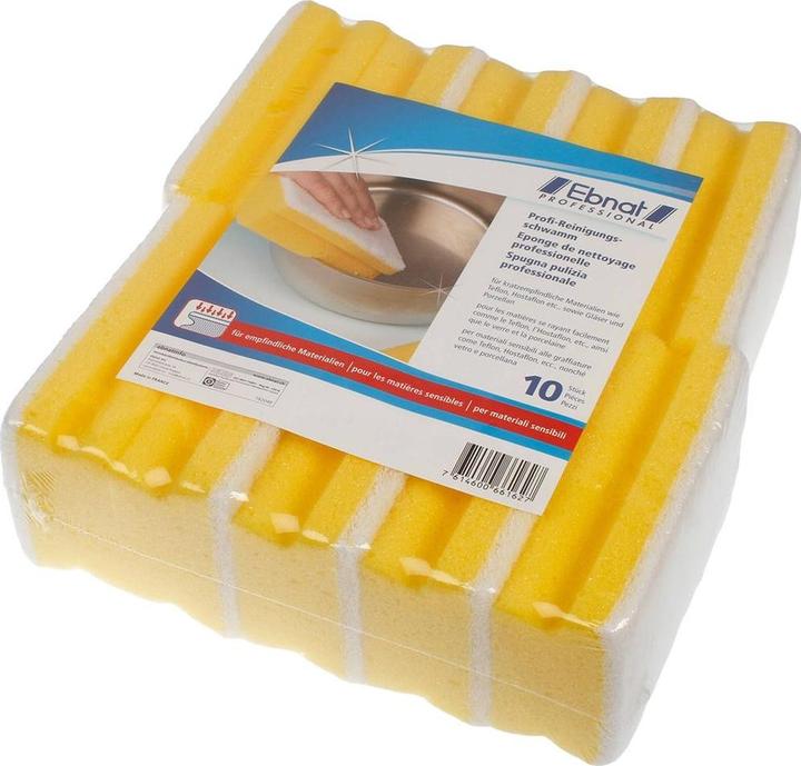 Actual product image Ebnat Cleaning sponge professional (10 pcs.)