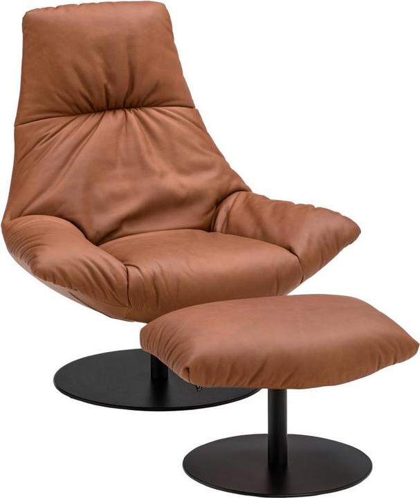 Actual product image Janus