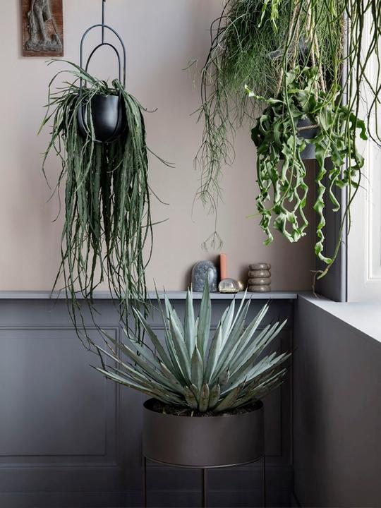 Image du produit Ferm Living Plant Box