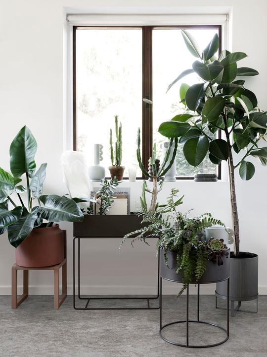 Image du produit Ferm Living Plant Box