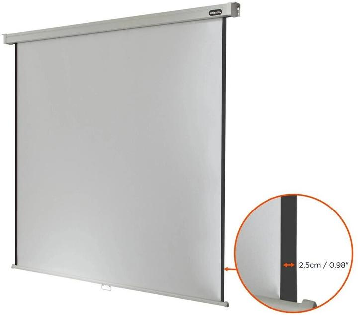 Actual product image Celexon Canvas Pro (119.69", 1:1)