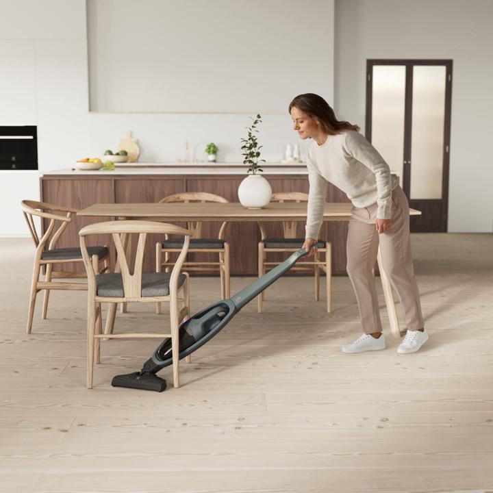 Image du produit Electrolux ES52CB18OG - Clean 500