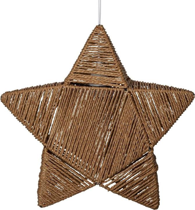 Image du produit Star Trading Étoile du cheval noir