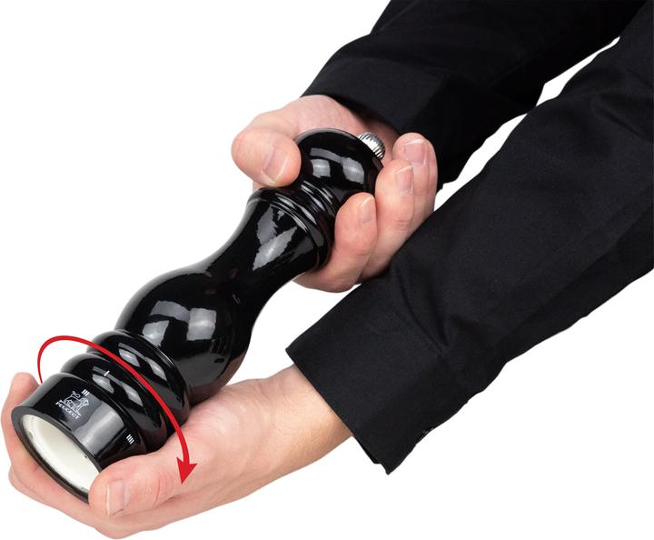 Actual product image Peugeot Paris (Salt)