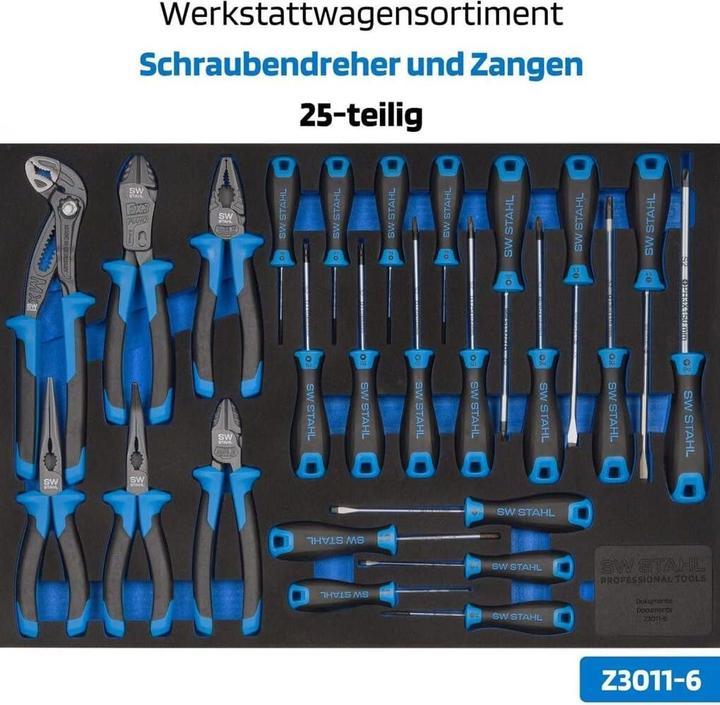Actual product image SW-Stahl Z3113 Professional workshop trolley TT801 blue I 8 drawers I 4 drawers filled I 246 parts I (246x)