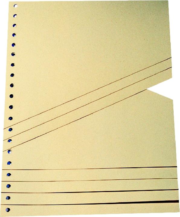 Schäfer Shop Staggered divider A4 100pcs chamois