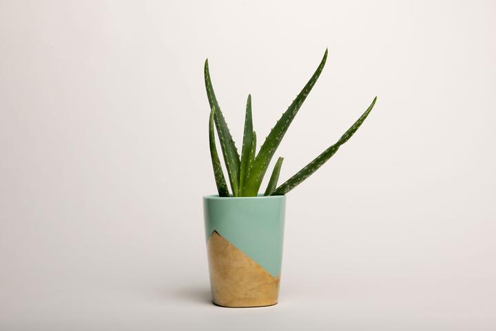 Actual product image Superior Achtergrond Rol Snow (nr 28) 2.72m x 11m (Camera inner pocket)