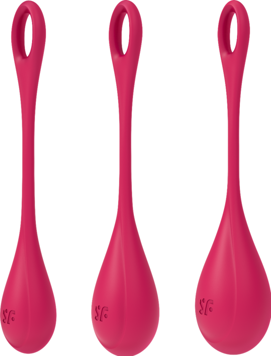 Actual product image Satisfyer Yoni Power 1